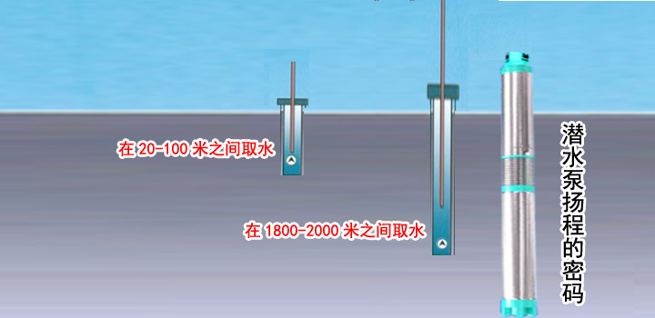 5439.jpg